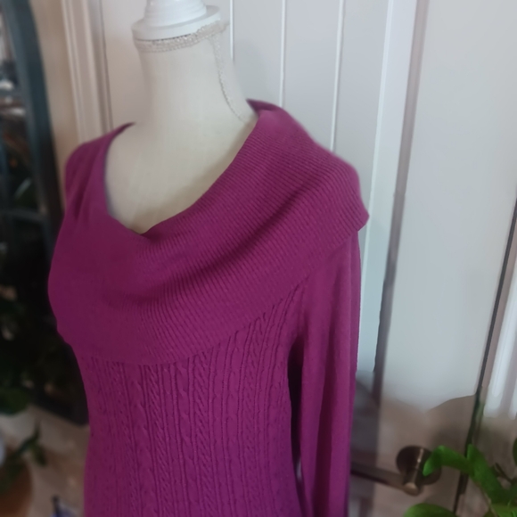 BCBG Max Azria Boysenberry Cable Knit SAHANA Midi Sheath Dress Size Large - Picture 5 of 10